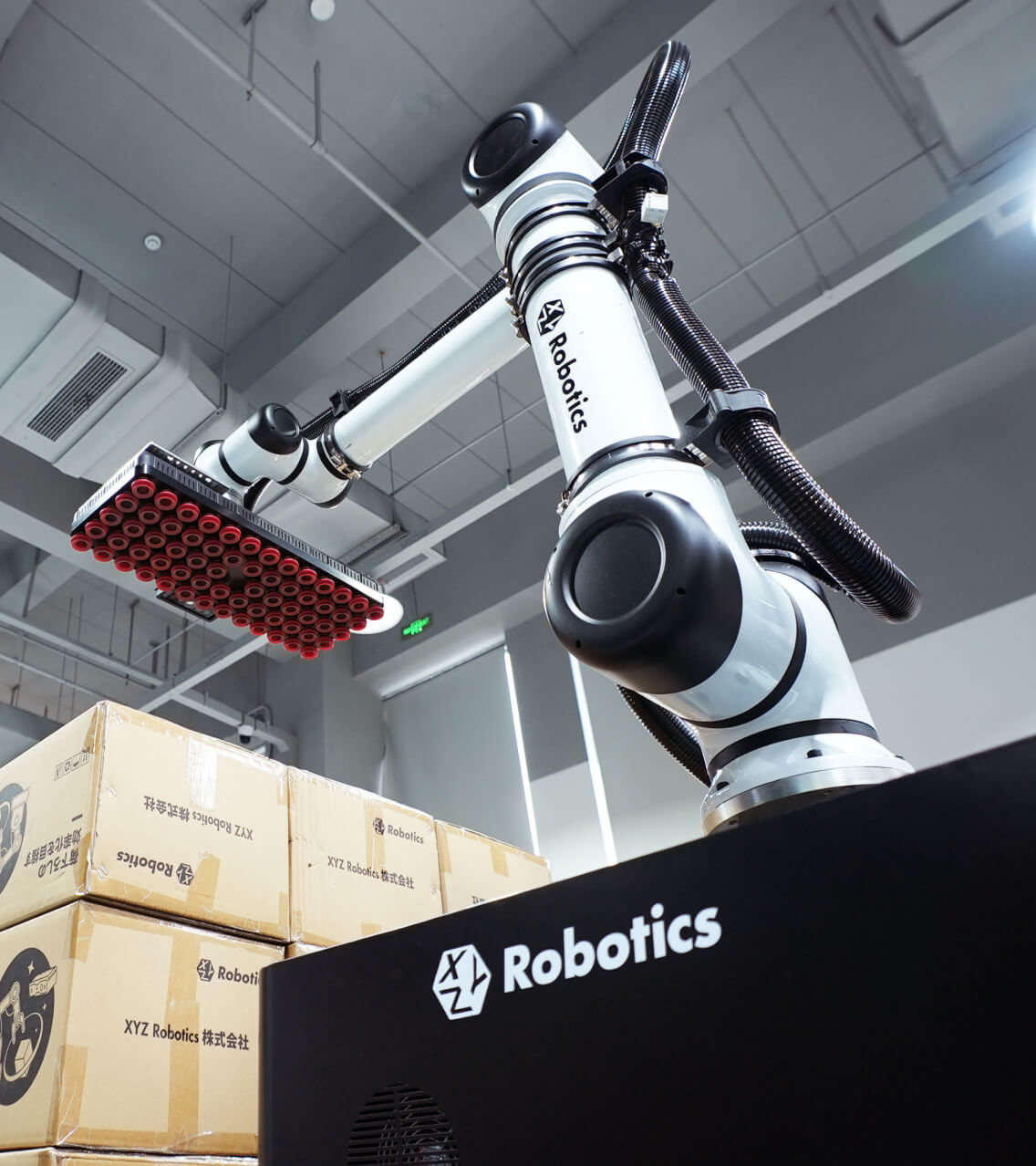 El Robot de Manipulación Móvil RockyLight automatiza la paletización de inbound y desapaletización de outbound