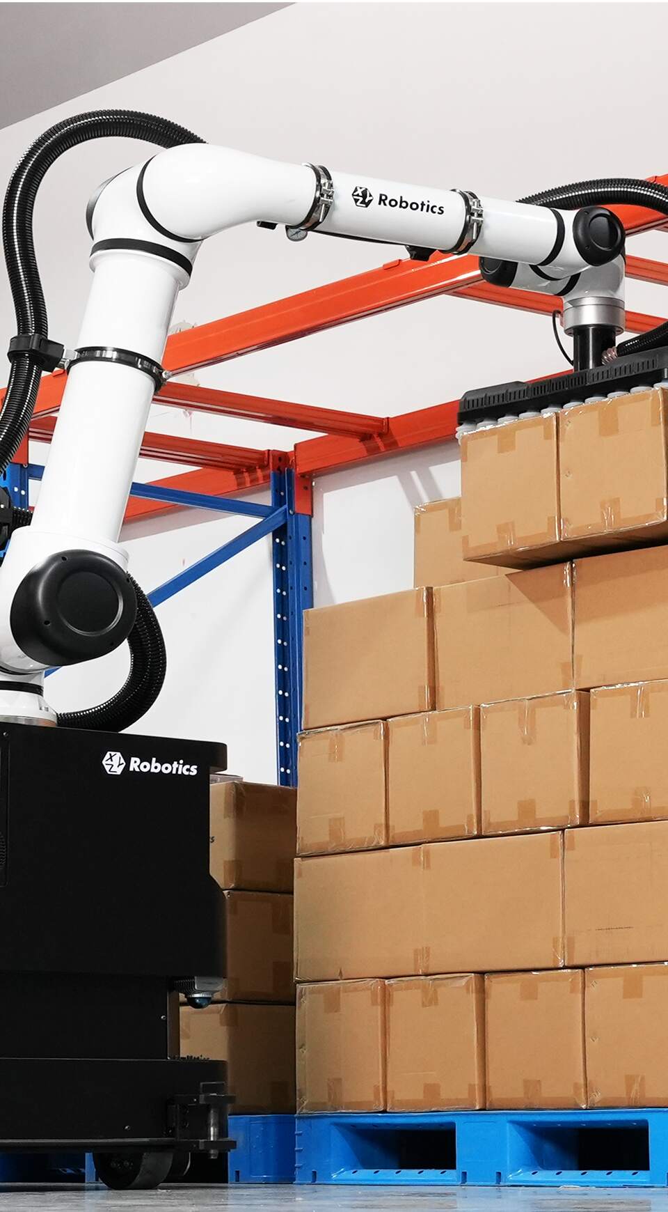 Solución robótica de preparación de pedidos con RockyLight para cumplimiento eficiente de órdenes